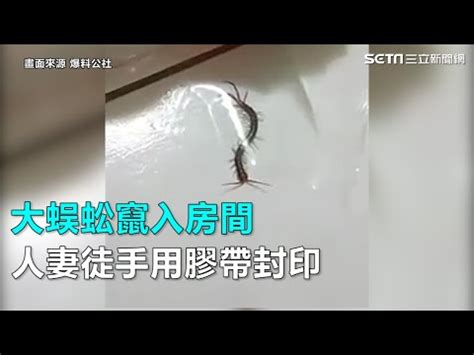 房間高度 蜈蚣網使用方法